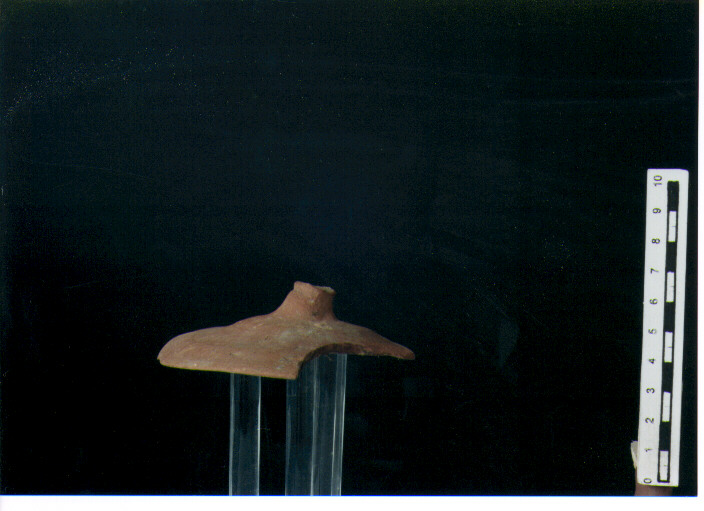 Coperchio