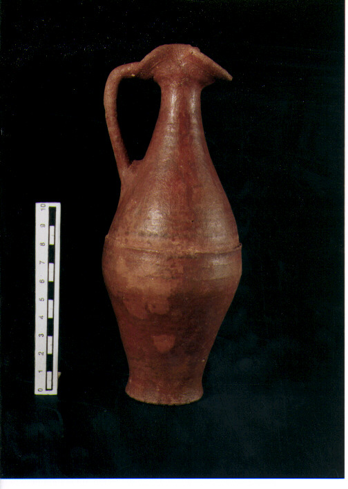Brocchetta bilobata