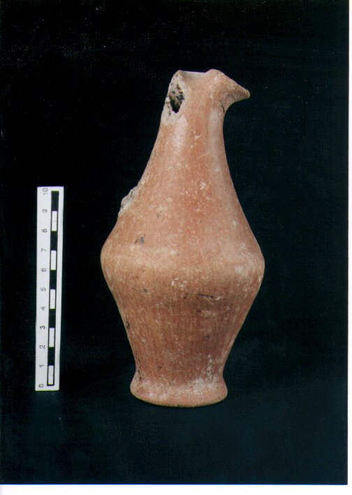 Brocchetta bilobata