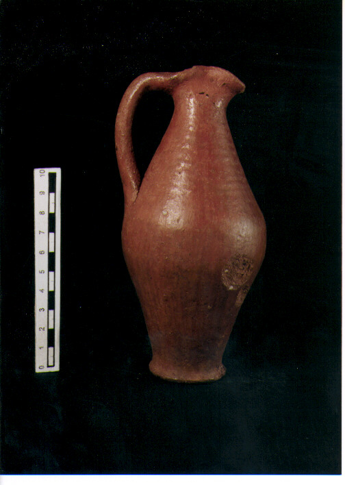 Brocchetta bilobata