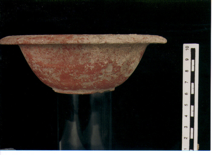 Coppa. lamboglia 35