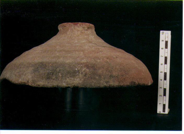 Coperchio