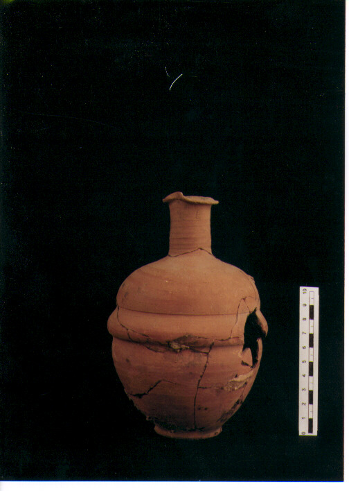 Brocchetta trilobata