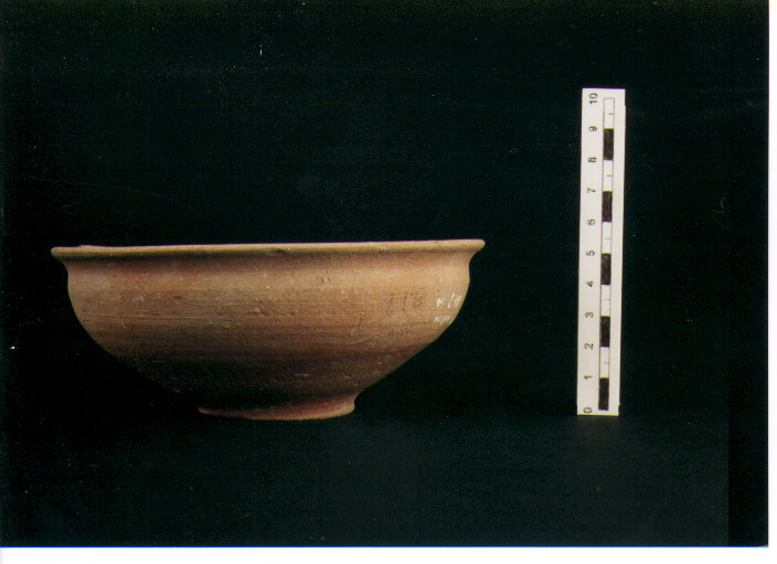 Scodella