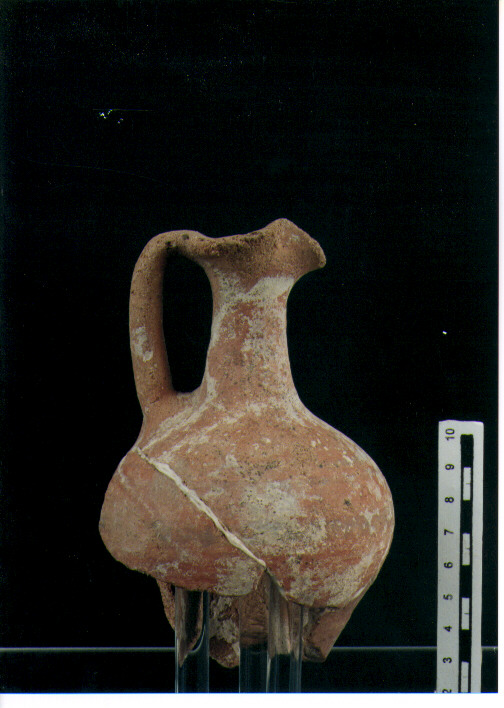 Brocchetta trilobata