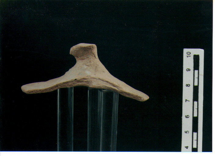 Coperchio