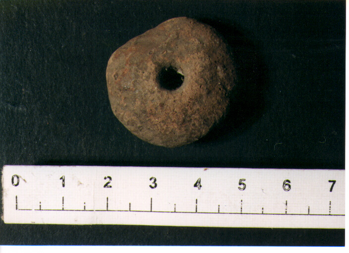 Fuseruola