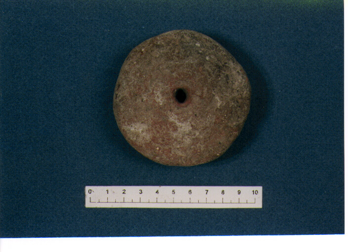 Fuseruola