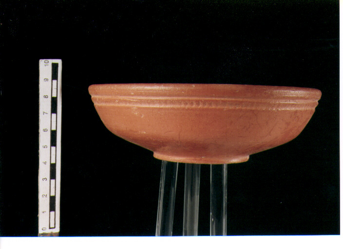Coppa. lamboglia 2 b