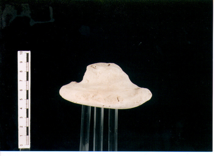 Coperchio