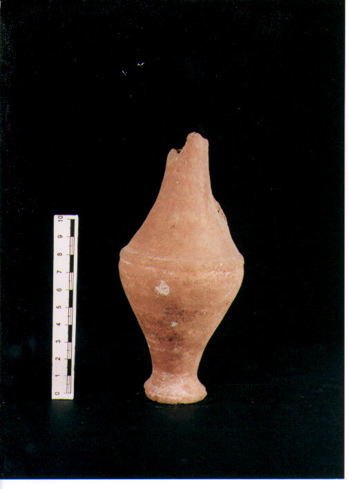 Brocchetta bilobata