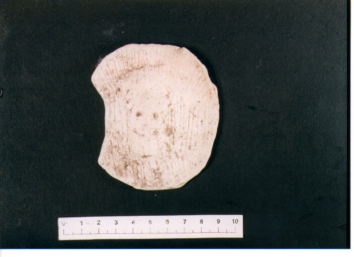 Oscillum