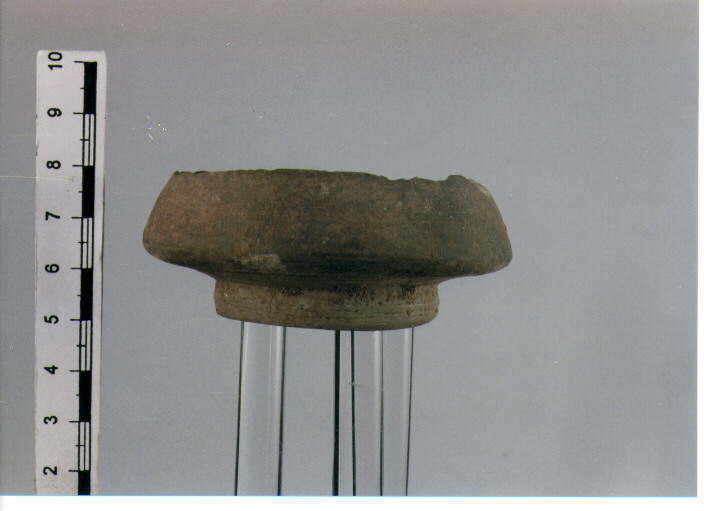 Coppetta carenata. morel 2745 c1