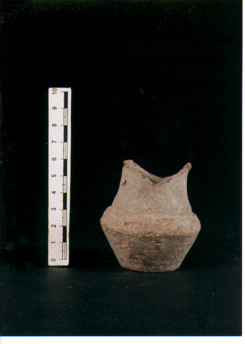 Vaso miniaturistico