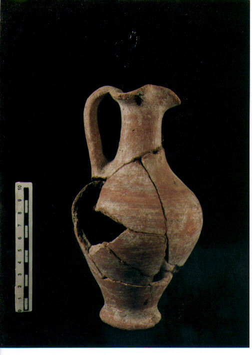 Brocchetta trilobata