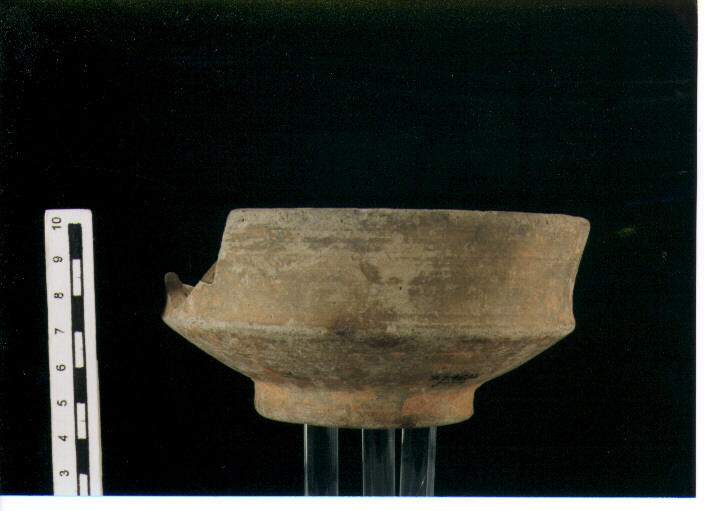 Scodella