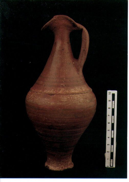 Brocchetta bilobata