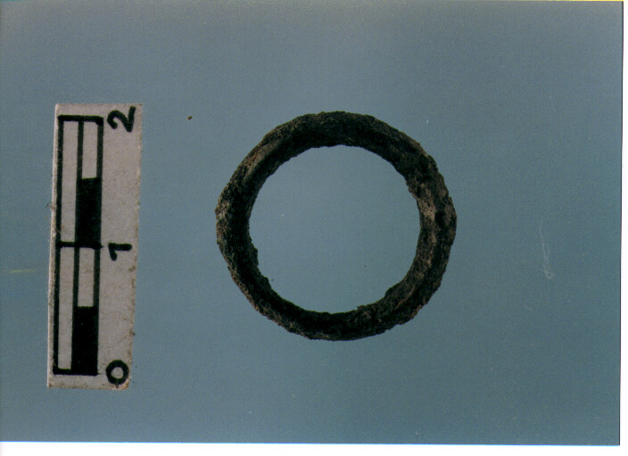 Anellino