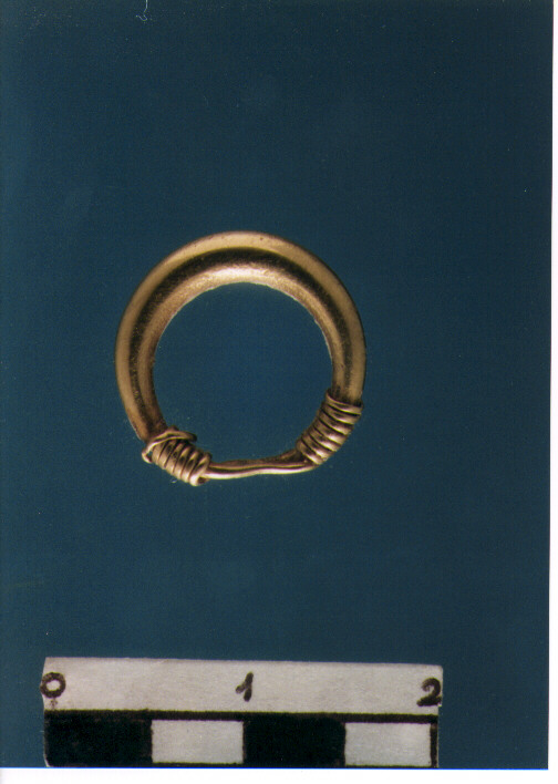 Anello crinale
