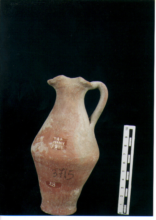 Brocchetta bilobata