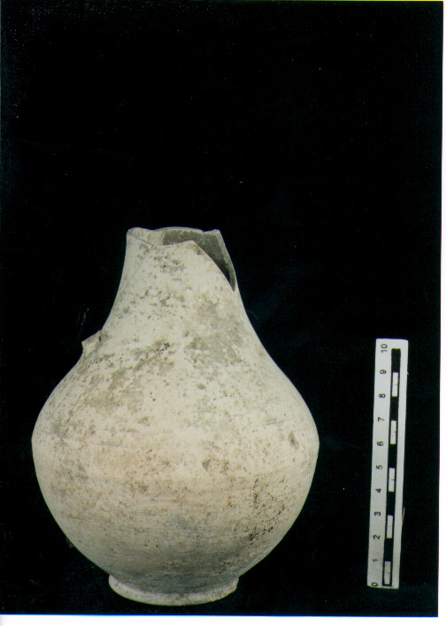 Brocchetta piriforme
