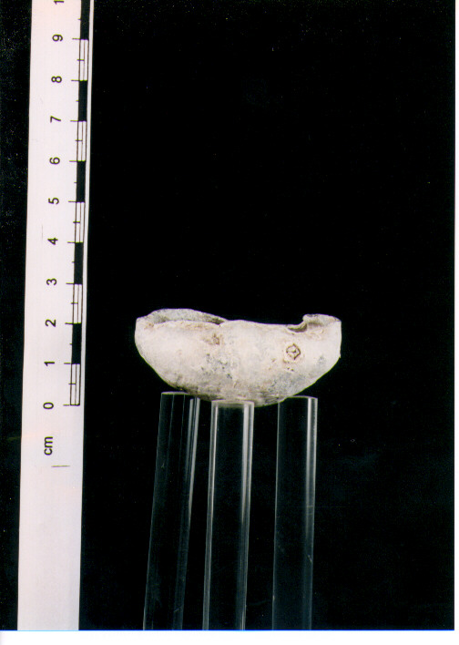 Coppa miniaturistica