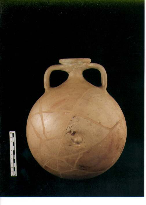 Fiasca lenticolare