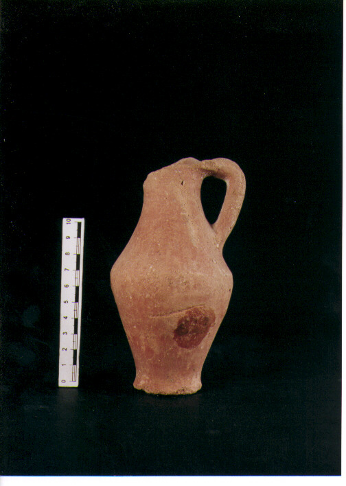 Brocchetta bilobata