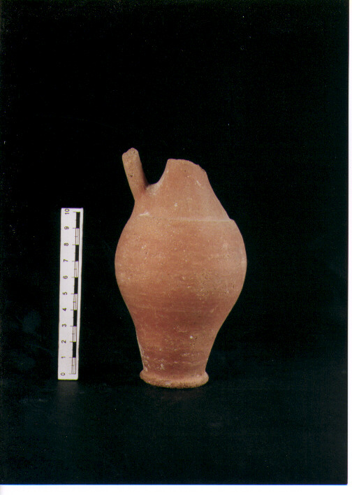 Brocchetta bilobata