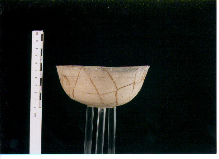Coppa. atlante ii, 2/419
