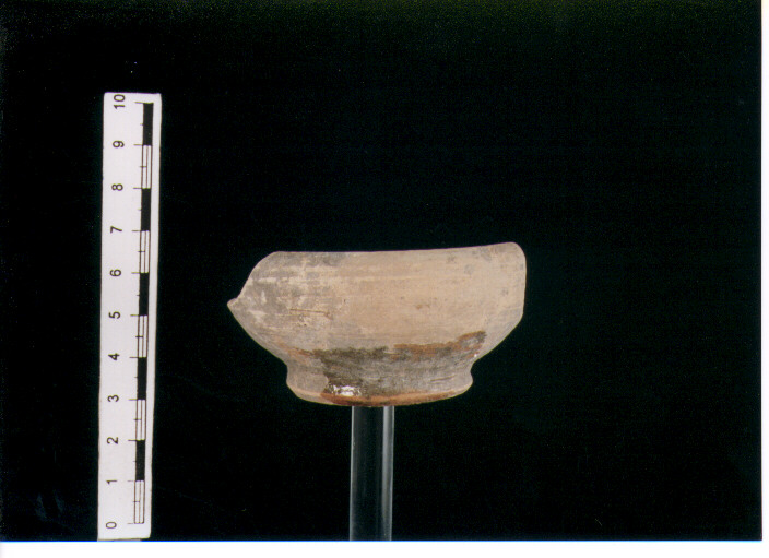 Coppetta. morel 2788 b1