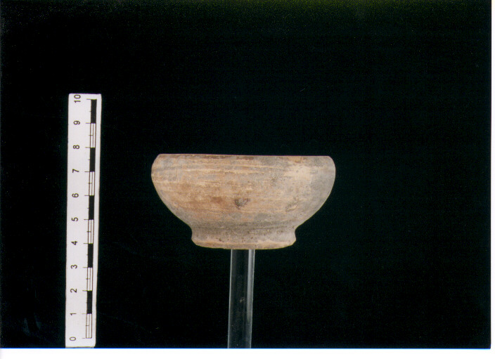 Coppetta. morel 2788 b1