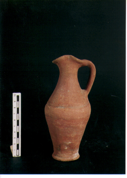 Brocchetta bilobata