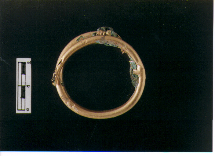 Anello crinale