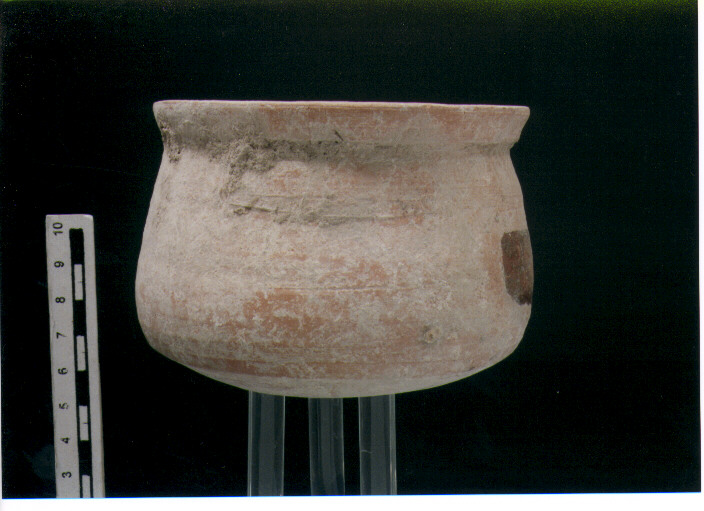 Pentolina