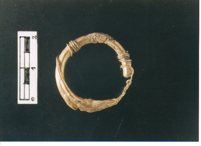 Anello crinale