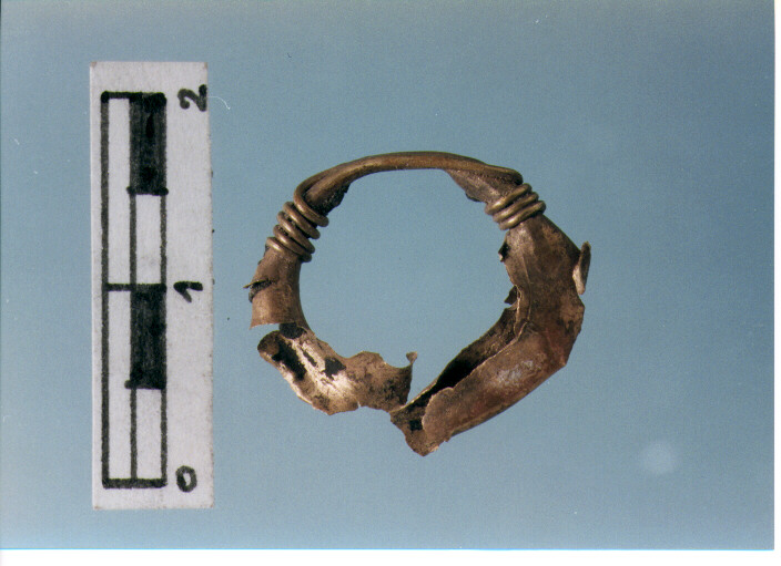 Anello crinale