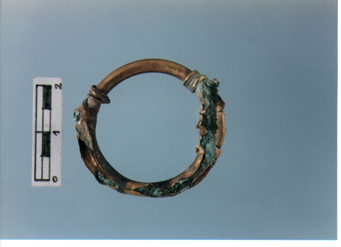 Anello crinale