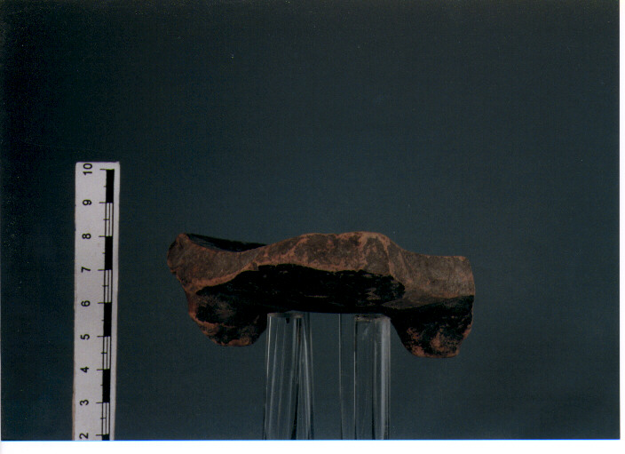 Coppa. morel 2130