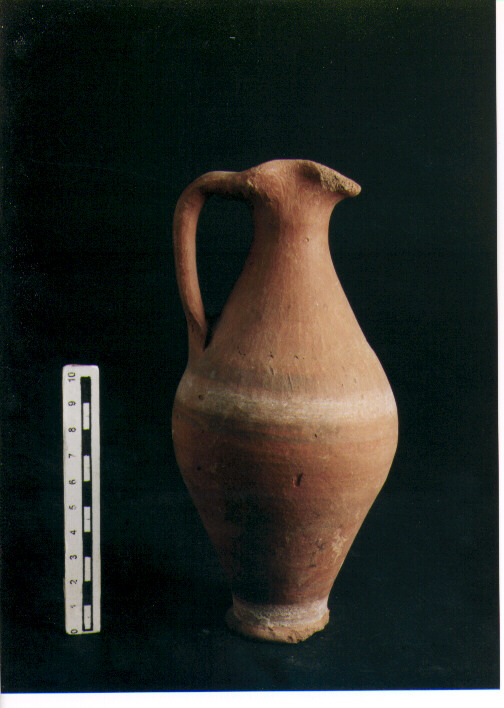 Brocchetta bilobata
