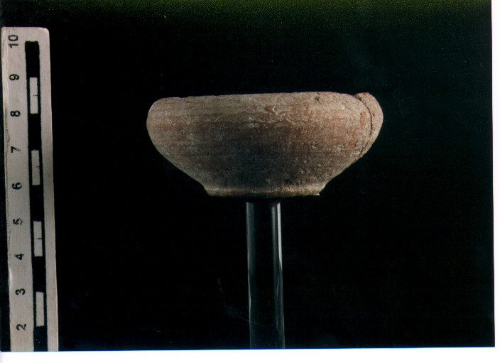 Coppa miniaturistica