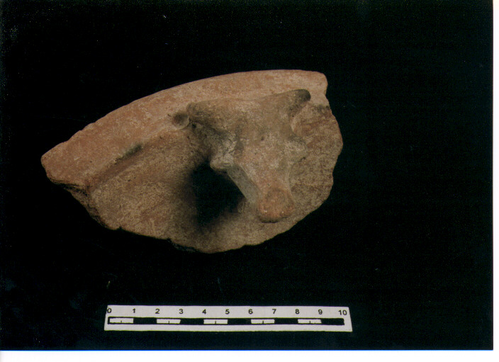 Bacile/ frammento