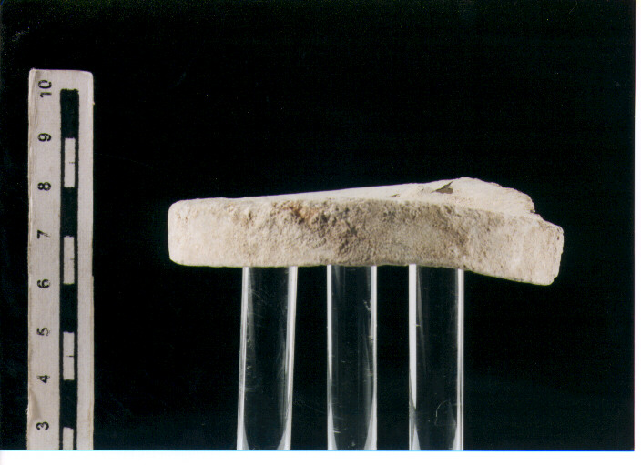 Coperchio