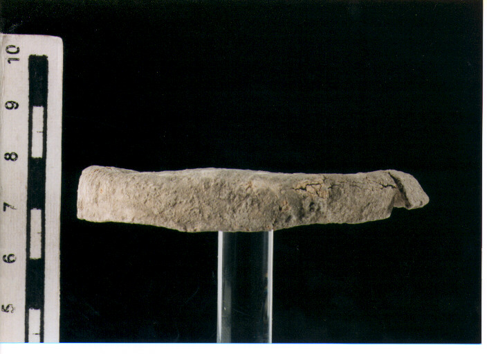 Coperchio