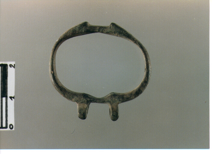 Anello di fibbia