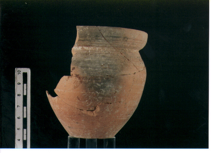 Bicchiere ovoide