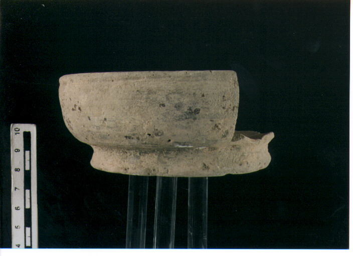 Coppa. morel 2361 a1