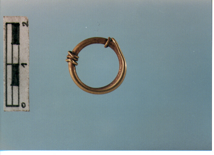 Anello crinale