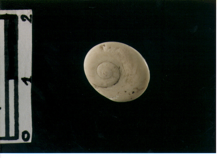 Amuleto