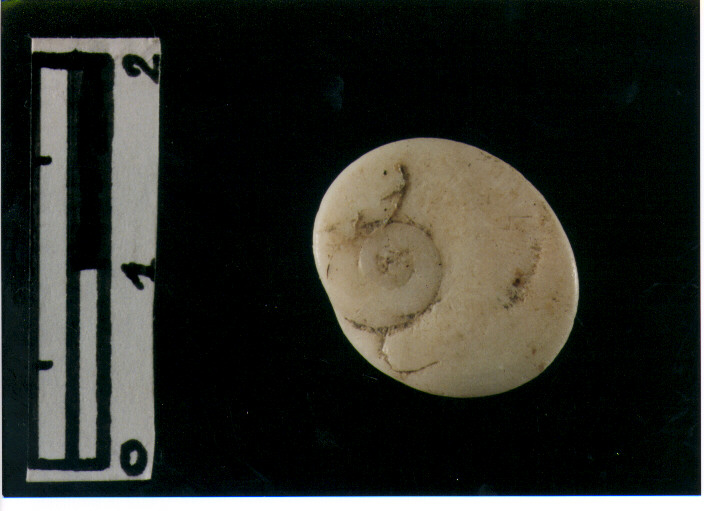 Amuleto